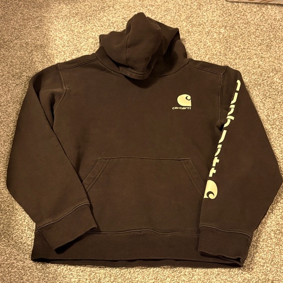 Boys Carhartt Dark Brown Hoodie - Picture 1 of 4